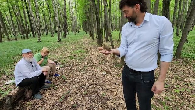 Баскетбол, скворец и ёжик смотреть онлайн