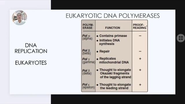 Eukaryotic DNA Replication and DNA REPAIR смотреть онлайн