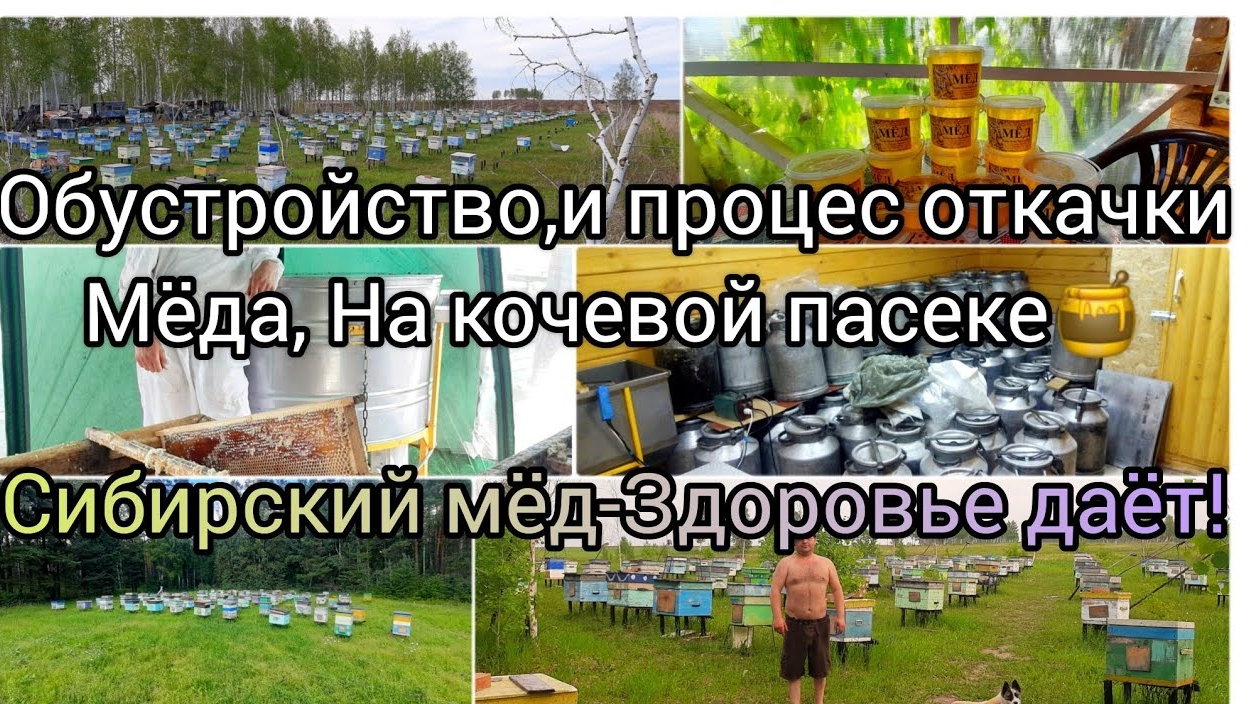 Процесс откачки мёда в 2023 На кочевой пасеки Как мы это обустроили и чем распечатываем медовые соты смотреть онлайн