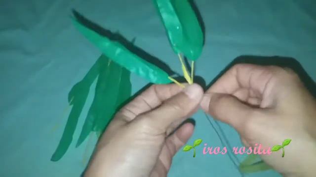 Cara membuat pohon bambu dari plastik kresek смотреть онлайн