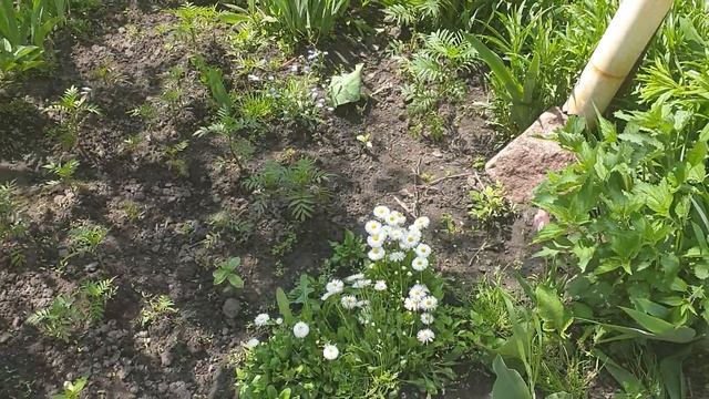 В вольере новенькая !!! Думаем как назвать! смотреть онлайн