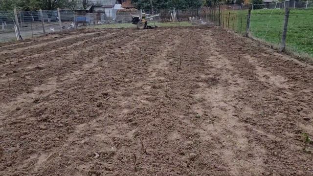 Завершили посадку малини. Джоан Джей і Полана. смотреть онлайн