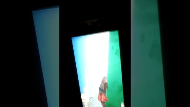 Мулт смотреть онлайн