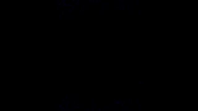 Spy cam смотреть онлайн