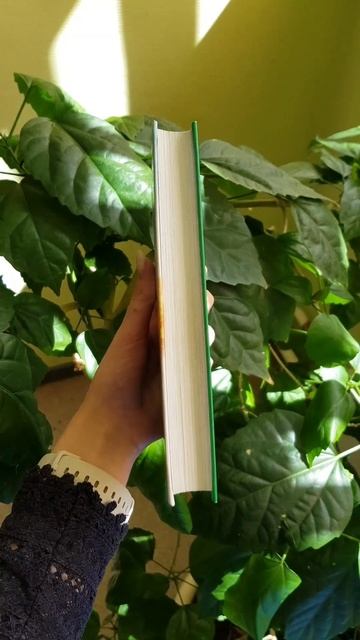 Рэй Брэдбери "Вино из одуванчиков" смотреть онлайн