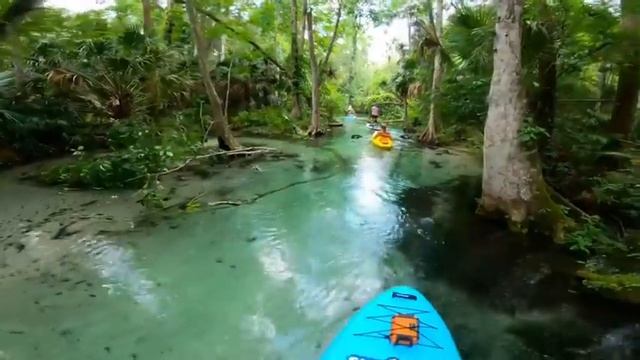 Paddling Around With SurfStar Inflatable Paddle Board-Relaxing Trip In Rock Springs, Florida смотреть онлайн