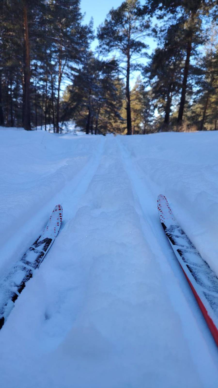 Лыжные лыжи и ФитЛайн