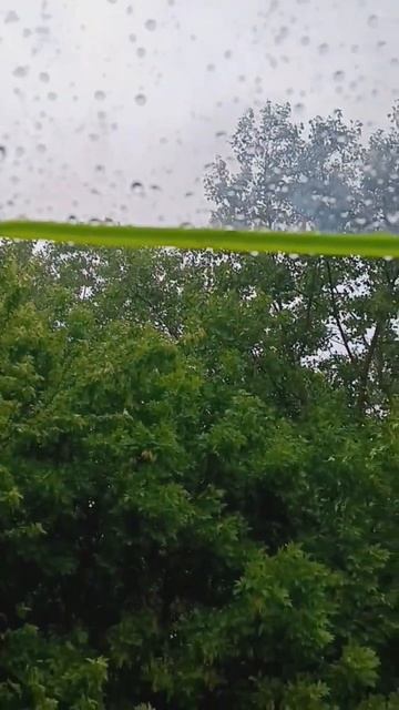 June rain. /летний дождик июнь #сша #июньсша2023 смотреть онлайн
