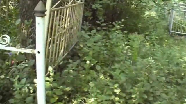 Кладбище 2007 год - Блинцовка Малая Даниловка смотреть онлайн