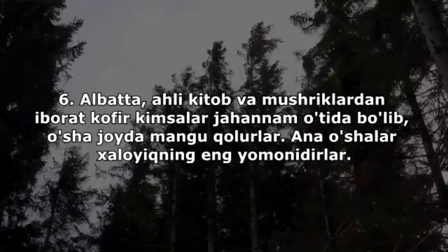 Omar Hisham - Bayyina surasi смотреть онлайн