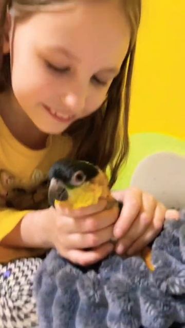 Любовь 🥰 смотреть онлайн