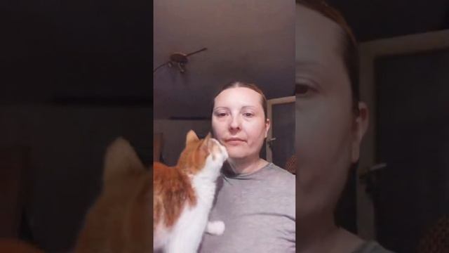 Live 655 ☕🆘☕🆘☕🆘☕🆘☕🆘☕🆘☕