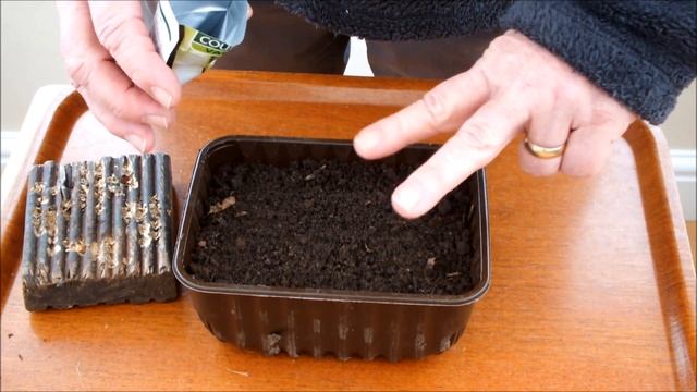 How to grow potatoes and leeks in the same pot of compost. смотреть онлайн