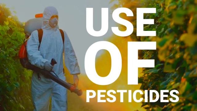 Why Bees are important to our planet? How we can help to avoid their extinctions? | PH RED TV смотреть онлайн