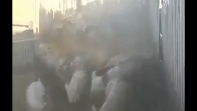 Свиньи из сена смотреть онлайн