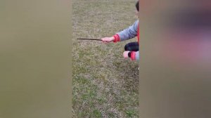 Как поймать тарантула? ЛУЧШИЙ СПОСОБ