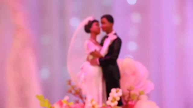 Shenali & Dario Wedding Highlights смотреть онлайн