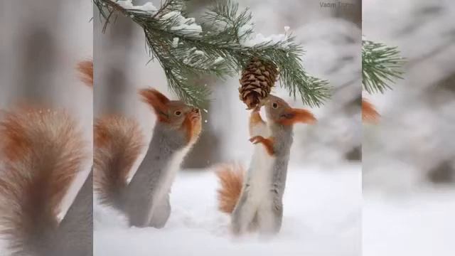 Дуже гарна музика!Найкрасивіша Музика на світі! Дуже гарна мелодія яку можна слухати вічно!!! смотреть онлайн