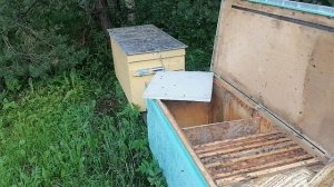 Ставлю магазин в разрез рамок во Владимирском улье-лежаке по аналогии с постановкой магазина в Дада