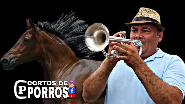 Pachito Eche - Banda San Juan de Caimito (Audio) смотреть онлайн