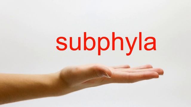 How to Pronounce subphyla - American English смотреть онлайн