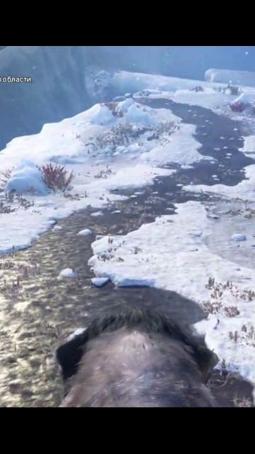 Far Cry Primal 