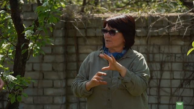 Как выбрать саженец для посадки? Интервью с экспертом смотреть онлайн