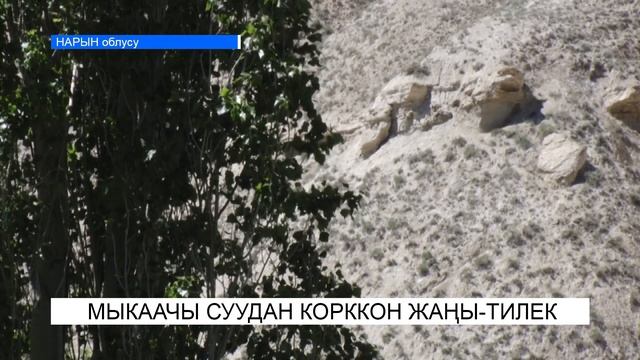 Мыкаачы суудан корккон Жаңы-Тилек смотреть онлайн