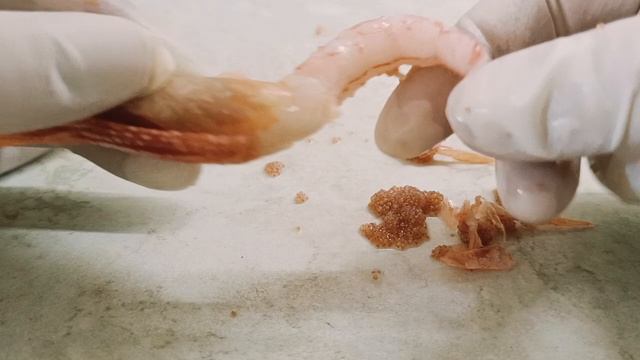 Разбор креветки смотреть онлайн