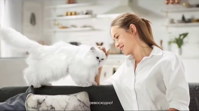 Изысканый Паштет для вашего Гурмана 🐱🐱🐱 смотреть онлайн