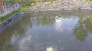 Озонатор для УЗВ и подготовка пруда к запуску малька