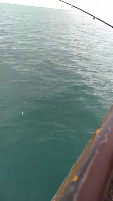 Юный рыбак в Гагре Зразу 4 штуки за раз😲 но одна сорвалась🙃 Абхазия 2022 смотреть онлайн