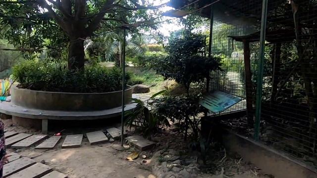 Zoocobia Zoo Fun in Pampanga with my lovely family смотреть онлайн