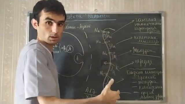 11 СИНАПС смотреть онлайн