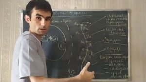 11 СИНАПС