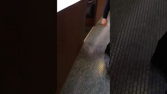 Паром Finnlines - идем на ужин смотреть онлайн