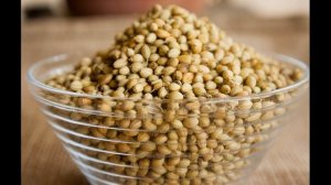 Кориандр, его традиционное использование