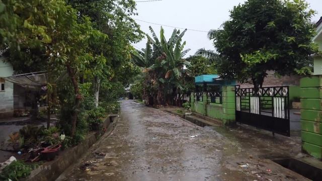REAL SUPER THUNDERSTORM, WALKING IN HEAVY RAIN VILLAGE LIFE IN INDONESIA смотреть онлайн