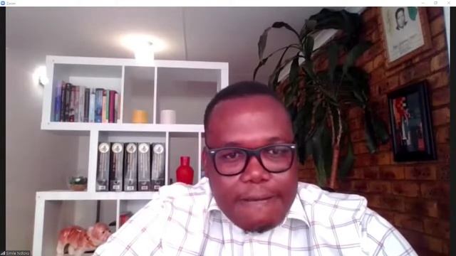 Enterprise Risk Management Leadership with Dr. Pat Mazibuko смотреть онлайн