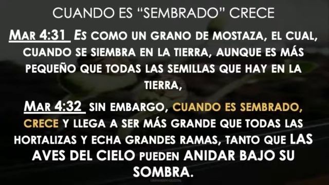 Pastor Miguel Gaona | La Marca De La Letra Nun