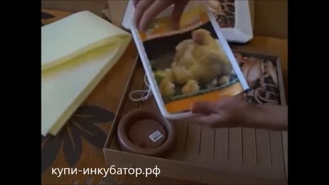 Инкубатор бытовой ПК 60 смотреть онлайн