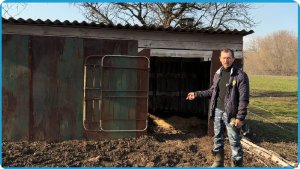 НЕМНОГО ПОРАБОТАЛИ И НА РЫБАЛКУ, ЖИЗНЬ В КУРСКОЙ ДЕРЕВНЕ