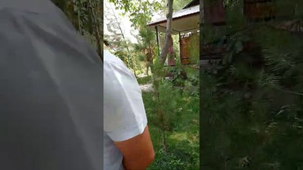 Шохимардон сойлари солланиб окади...