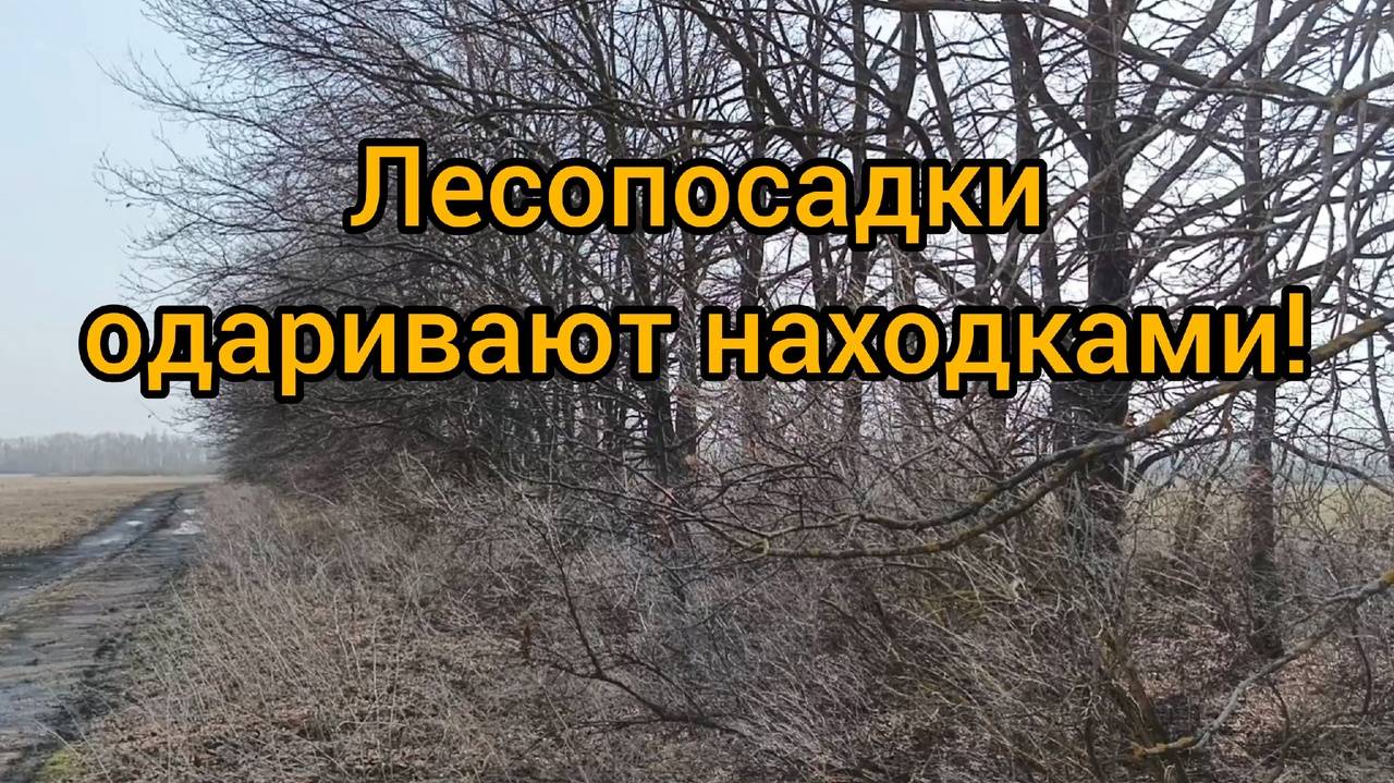 Лесопосадки одаривают находками! Пустым я оттуда не уехал! смотреть онлайн