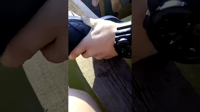 Обзор на кросы😁 смотреть онлайн