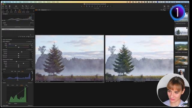 Capture One ｜ Кривые и уровни смотреть онлайн
