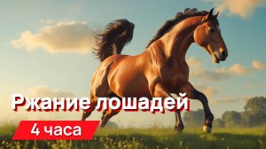 Звуки для соседей - ржание лошадей, нестареющая классика, коневод