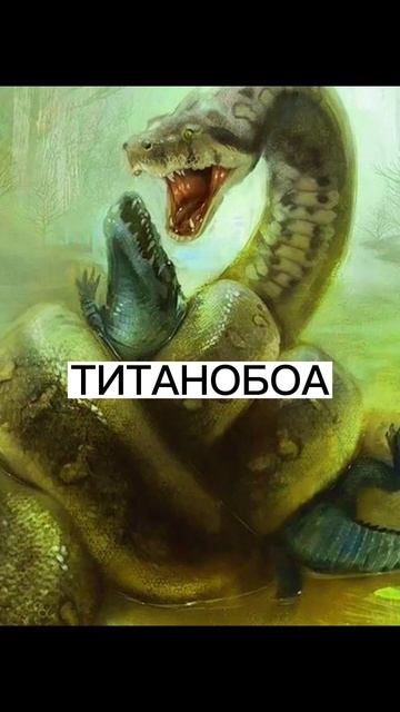 .. . смотреть онлайн