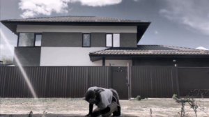 🐈КВАДРОБИКА ТУТОРИАЛ НА БЕГ РЫСЬ🐈от Ирисовой звезды||тутор||