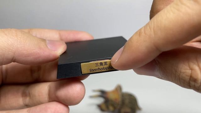 REVIEW CUTE CHUBBY TRICERATOPS MODEL - UNBOX MÔ HÌNH KHỦNG LONG BA SỪNG BÉO Ú 2022 смотреть онлайн